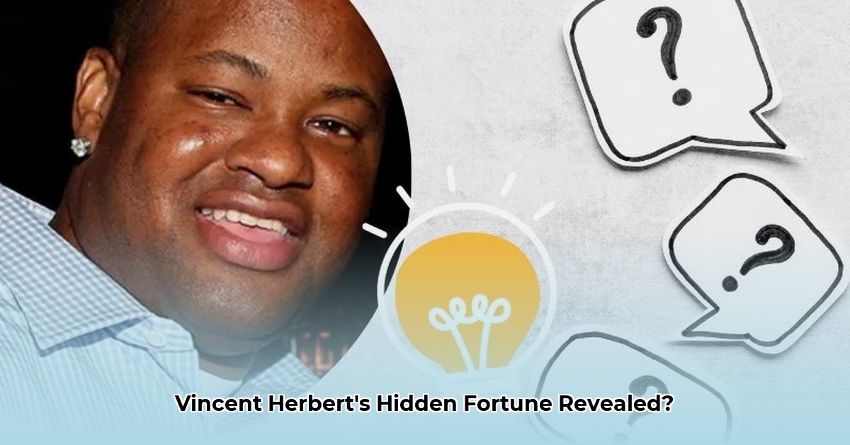 net-worth-of-vincent-herbert